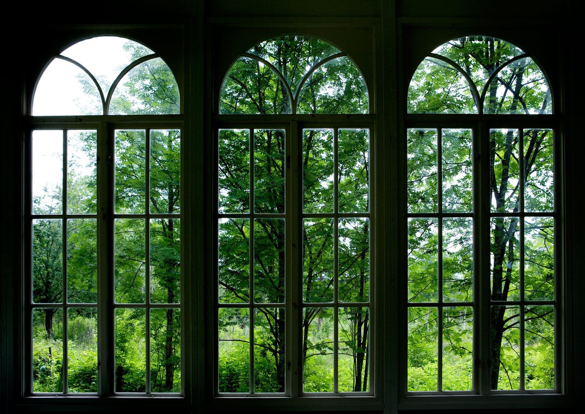 Garden-Window-scaled-1.jpg